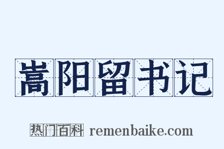 嵩阳留书记是什么意思的图片